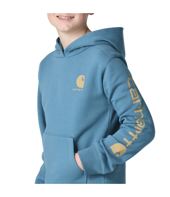 Carhartt Boy's Long-Sleeve Graphic Sweatshirt CA6908