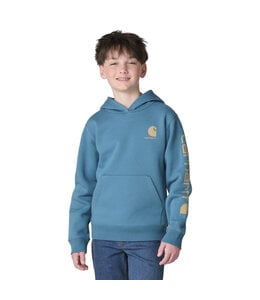 Carhartt Boy's Long-Sleeve Graphic Sweatshirt CA6908