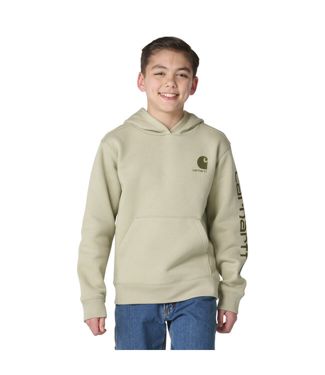 Carhartt Boy's Long-Sleeve Graphic Sweatshirt CA6908