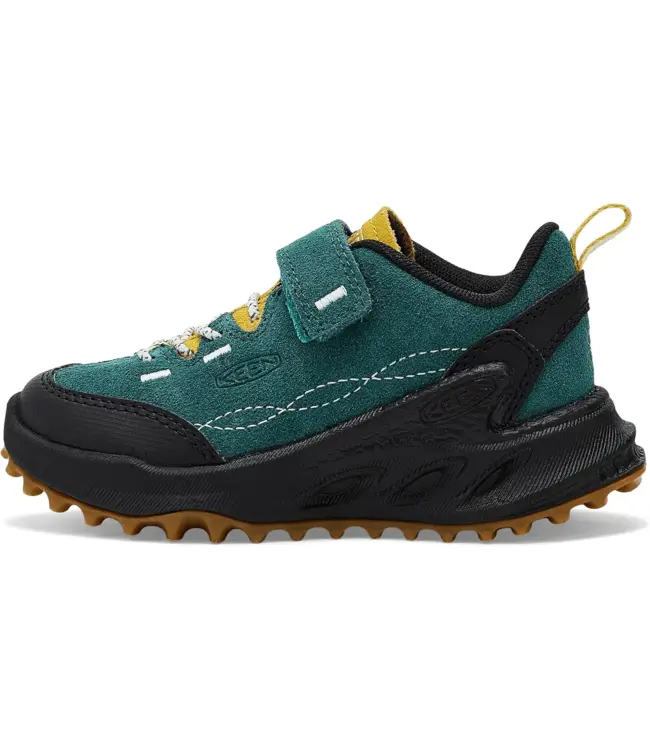 KEEN 1032059 Little Kid's Jasper Zionic Sneaker