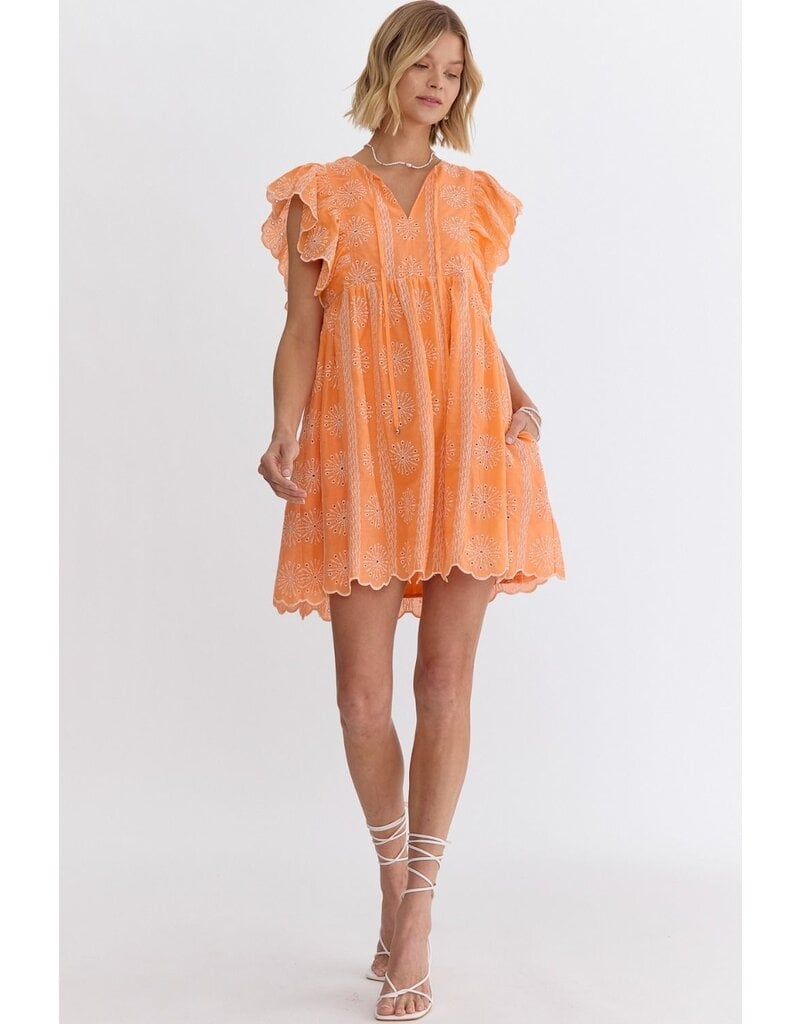 Embroidered Ruffle Sleeves Dress