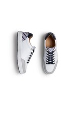Royal Albartross Royal Albatross Fieldfox Shoe Geo White/Navy
