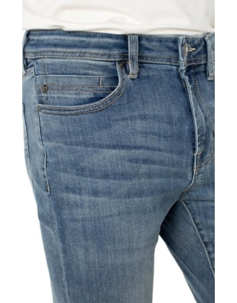 Liverpool Los Angeles Liverpool Kingston Modern Straight 30" Inseam Palmerino