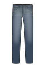 Liverpool Los Angeles Liverpool Kingston Modern Straight 32" Inseam Palmerino