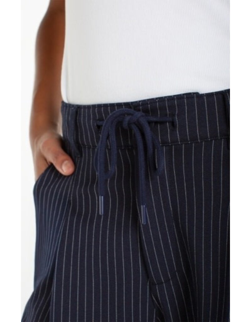 Liverpool Los Angeles Liverpool Wide Leg Pleated Trouser with Side Stripe
