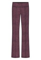 Liverpool Los Angeles Liverpool Pearl Full Length Flare w/ Pintucks 31" inseam