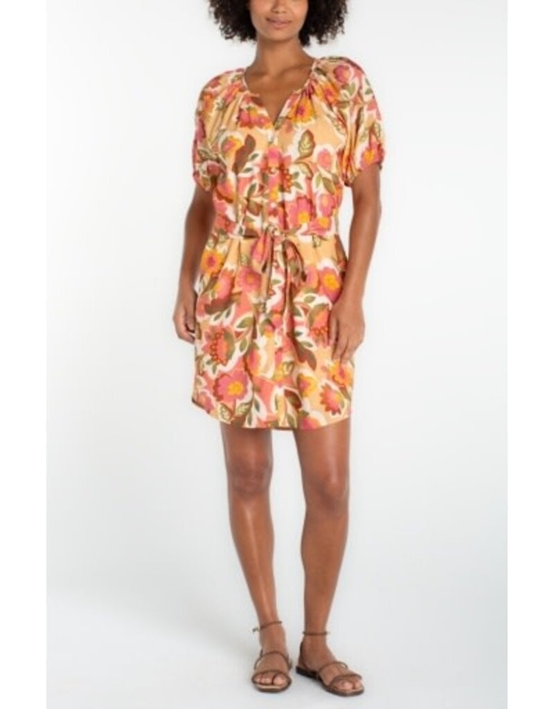 Liverpool Los Angeles Liverpool Short Sleeve Shirred Button Front Woven Dress