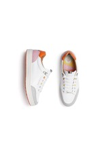 Royal Albartross Royal Albartross The Fieldfox Shoe Mia's Miracles