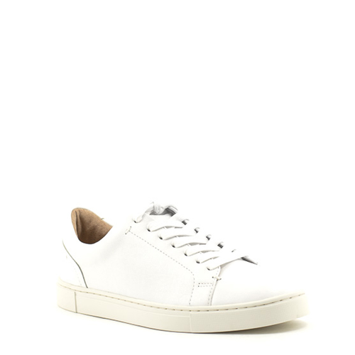 Frye — Ivy Low Lace Sneaker in White 