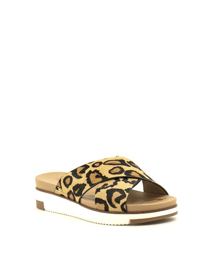 sam edelman leopard sneakers