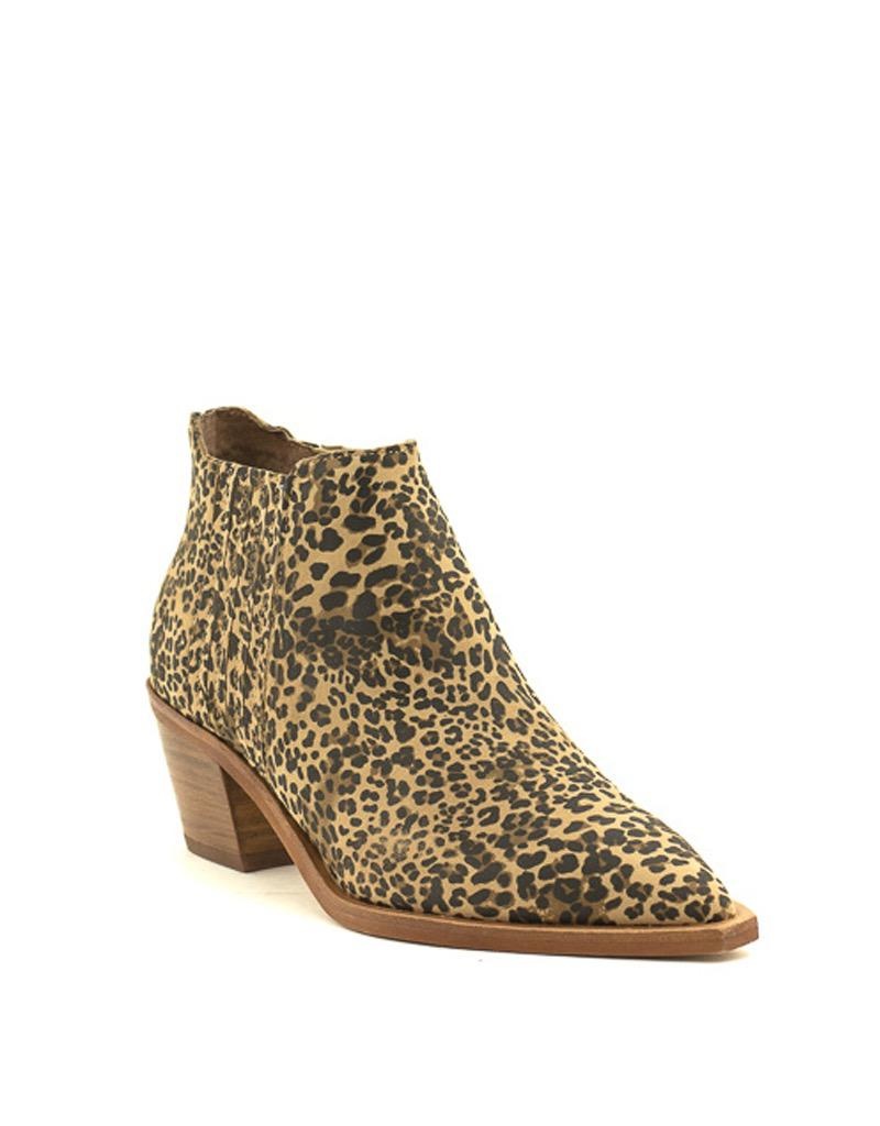 dolce vita leopard ankle boots