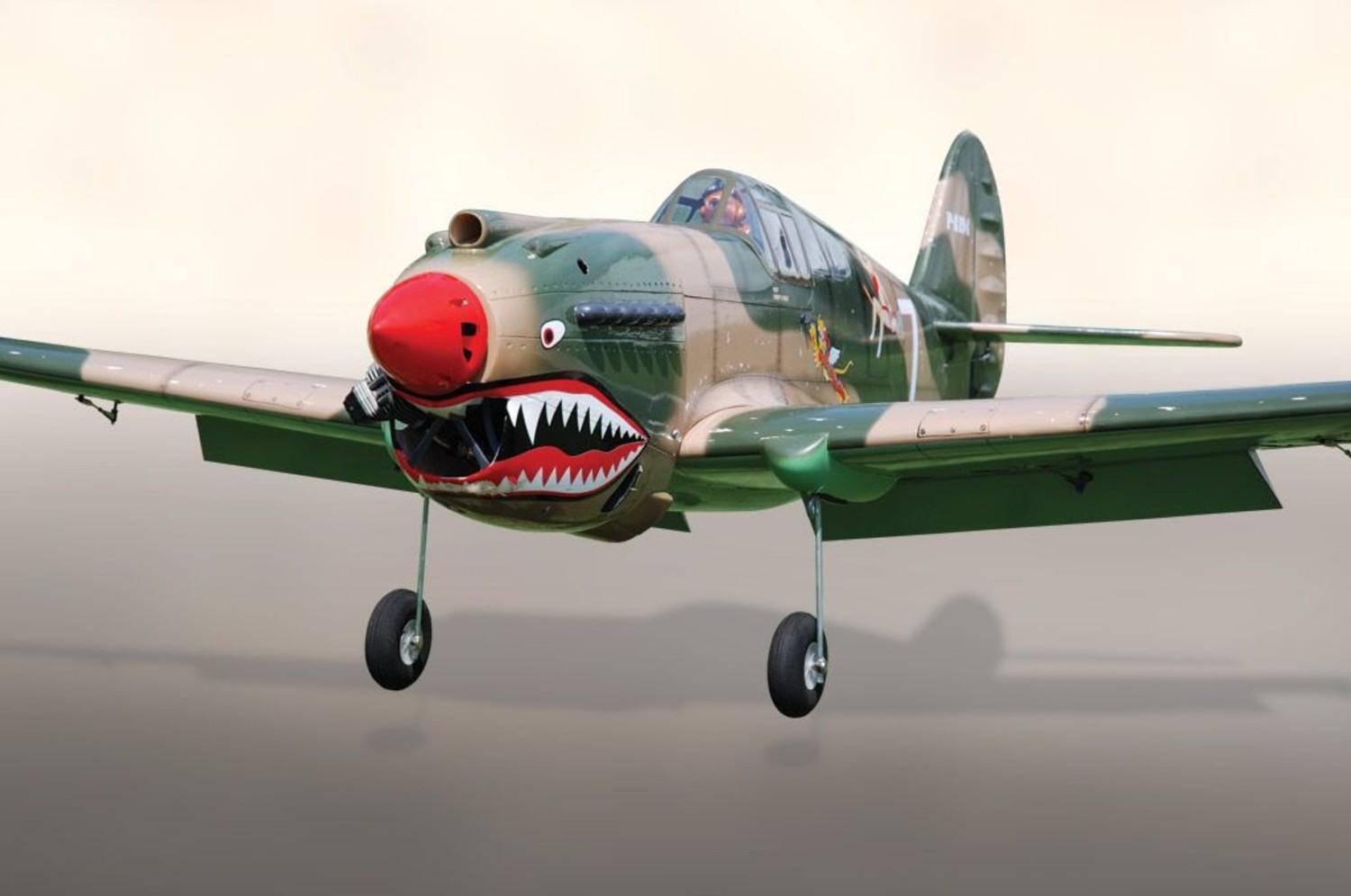 black horse model aircraft