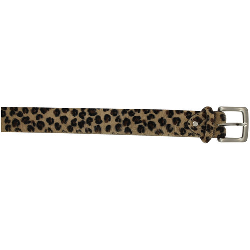 AMMANN Ammann Besso Collection Upgraded Buckle (20/21) Leopardo Pdv AMMANN Ammann Besso Collection Upgraded Buckle (20/21) Leopardo Pdv