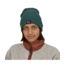 Patagonia Patagonia Everyday Beanie (23/24) Hemlock Green-Hmkg ALL