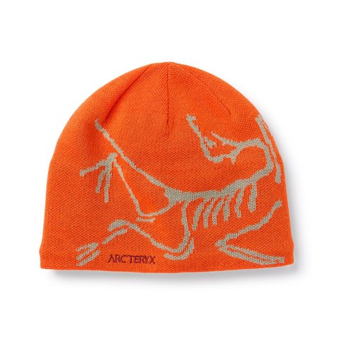 Arc'teryx Arc'Teryx Bird Head Toque (22/23) Phenom/Habitat-3033 NA Arc'teryx Arc'Teryx Bird Head Toque (22/23) Phenom/Habitat-3033 NA
