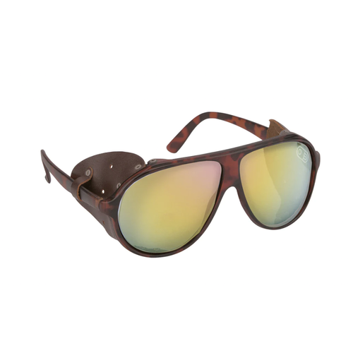 Airblaster Airblaster Polarized Glacier Glasses (22/23) Tortoise OS Airblaster Airblaster Polarized Glacier Glasses (22/23) Tortoise OS