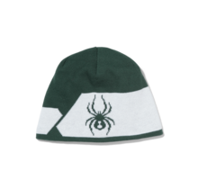 Spyder Mens Shelby Hat (23/24) Cypress Green-Cpg O/S