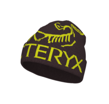 Arc'teryx Bird Word Toque (24/25) Phantasm / Euphoria