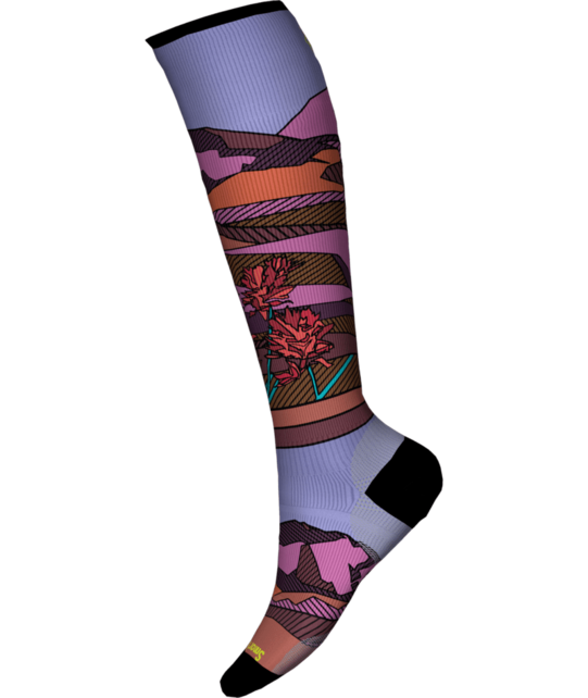 Smartwool Women's Ski Zero Cushion Floral Field Print Otc Socks (25/26) Picante-J33