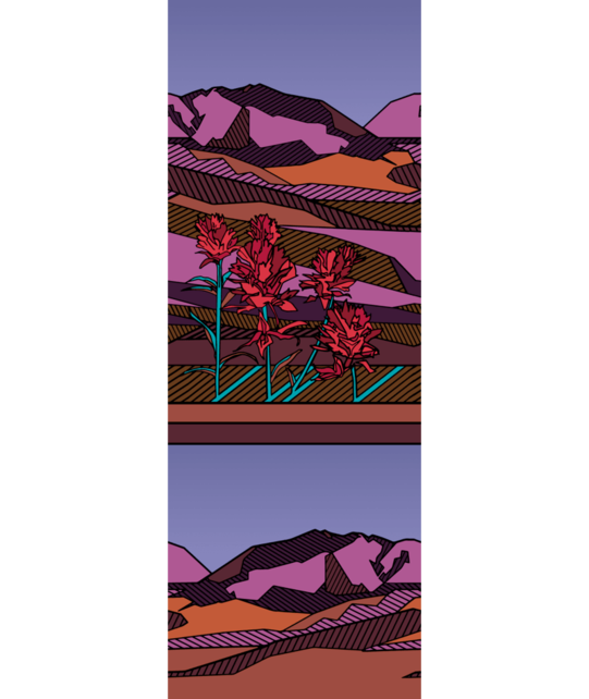 Smartwool Women's Ski Zero Cushion Floral Field Print Otc Socks (25/26) Picante-J33