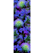 Smartwool Womens Ski Targeted Cushion Electric Lotus Print Otc Socks (25/26) Black-001