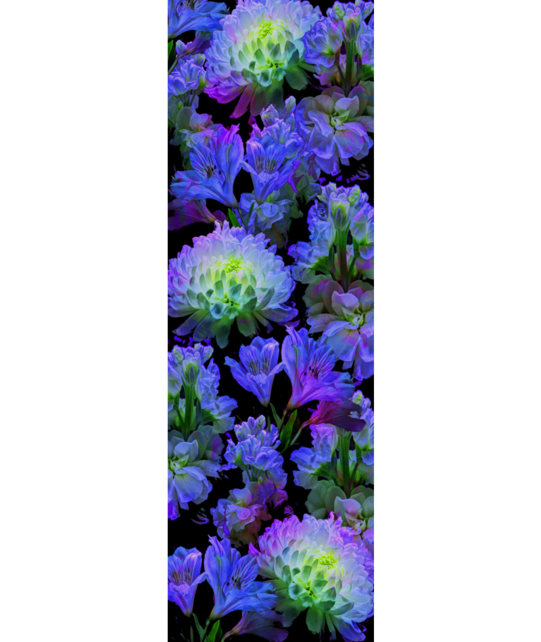 Smartwool Womens Ski Targeted Cushion Electric Lotus Print Otc Socks (25/26) Black-001