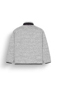 Picture Dauwy Fz Fleece (24/25) Grey Melange-B Picture Dauwy Fz Fleece (24/25) Grey Melange-B