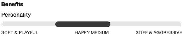 Burton Kids' Smalls Re:Flex Snowboard Bindings (25/26) Dusty Blue-Agb