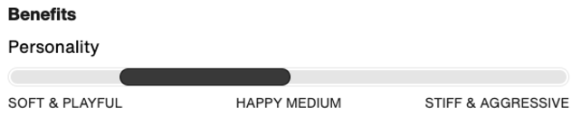 Burton Men's Freestyle Binding (25/26) Black-A02