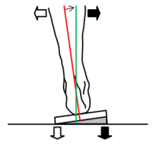 Shell Leveling (Canting)