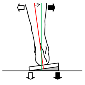 Shell Leveling (Canting)