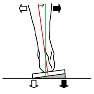 Shell Leveling (Canting)