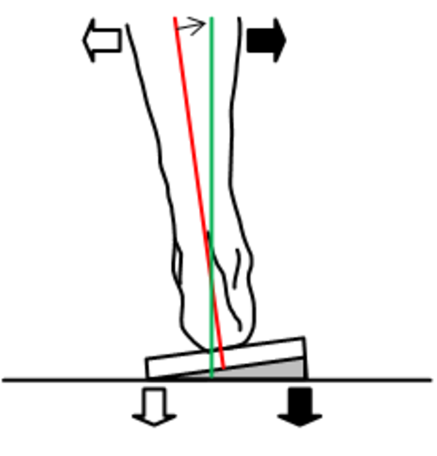Shell Leveling (Canting)