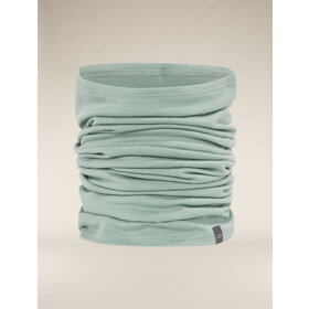 Icebreaker Unisex Merino 200 Flexi Chute (24/25) Moss-01G