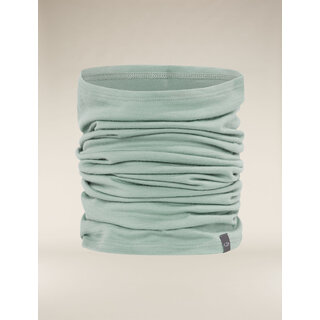 Icebreaker Unisex Merino 200 Flexi Chute (24/25) Moss-01G