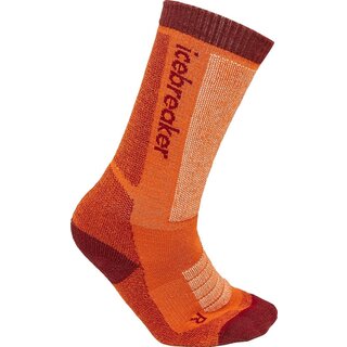 Icebreaker Kids Merino Ski+ Medium Otc (24/25) Blaze/Port/Snow-04X