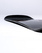 Lib Tech Skunk Ape Camber (25/26)