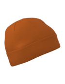 Arc'teryx Embroidered Bird Toque (25/26) Copper Sky / Blaze