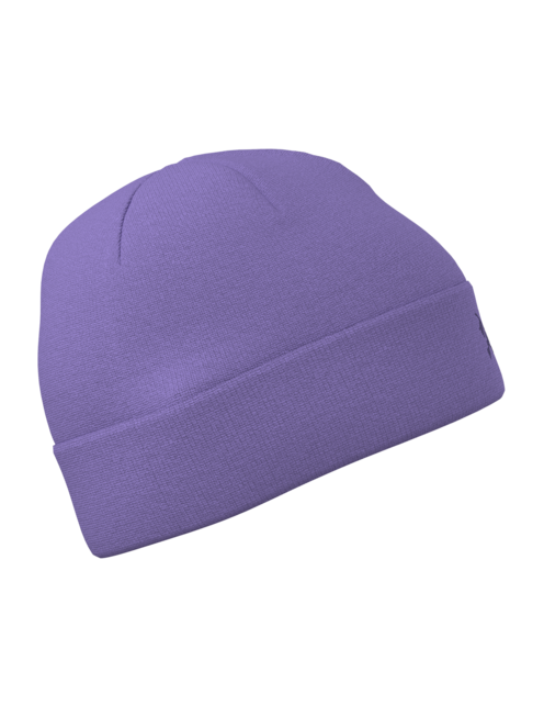 Arc'teryx Embroidered Bird Toque (25/26) Aster / Azalea