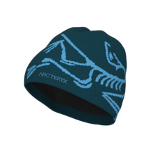 Arc'teryx Bird Head Toque (25/26) Nightscape / Glacial