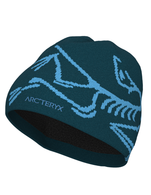 Arc'teryx Bird Head Toque (25/26) Nightscape / Glacial