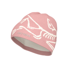 Arc'teryx Bird Head Toque (25/26) Bliss / Arctic Silk