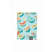 Airblaster Ninja Turtleneck (25/26) Melons-Mel OS