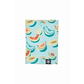 Airblaster Ninja Turtleneck (25/26) Melons-Mel OS