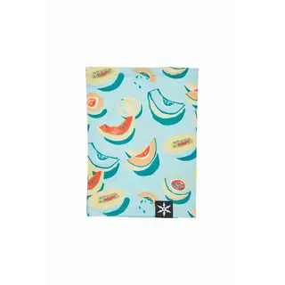 Airblaster Ninja Turtleneck (25/26) Melons-Mel OS