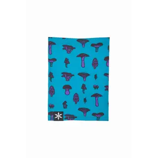 Airblaster Ninja Turtleneck (25/26) Teal Mushroom-Tlm OS