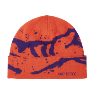 Arc'teryx Grotto Toque (25/26) Dynasty / Azalea