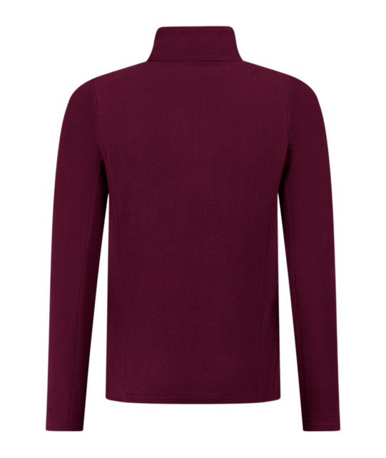 Protest Remutez 1/4 Zip Active Top (26/27) Current Purple