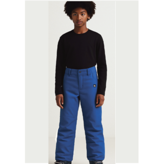 Quicksilver Boys Estate Pant (26/27) Palace Blue