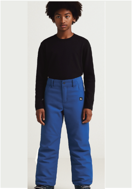 Quicksilver Boys Estate Pant (26/27) Palace Blue